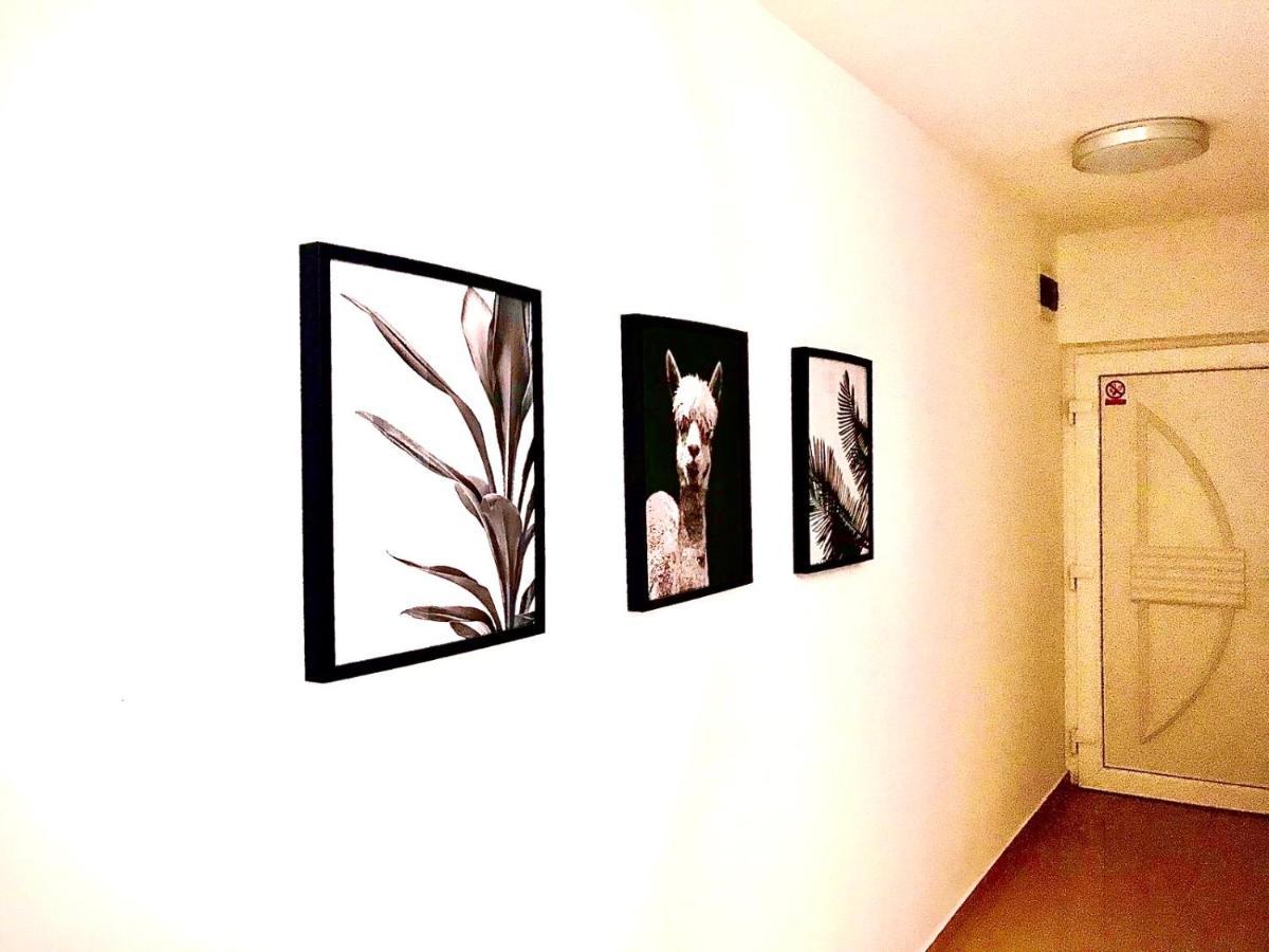Vila Palit 497 D Apartment E Kültér fotó